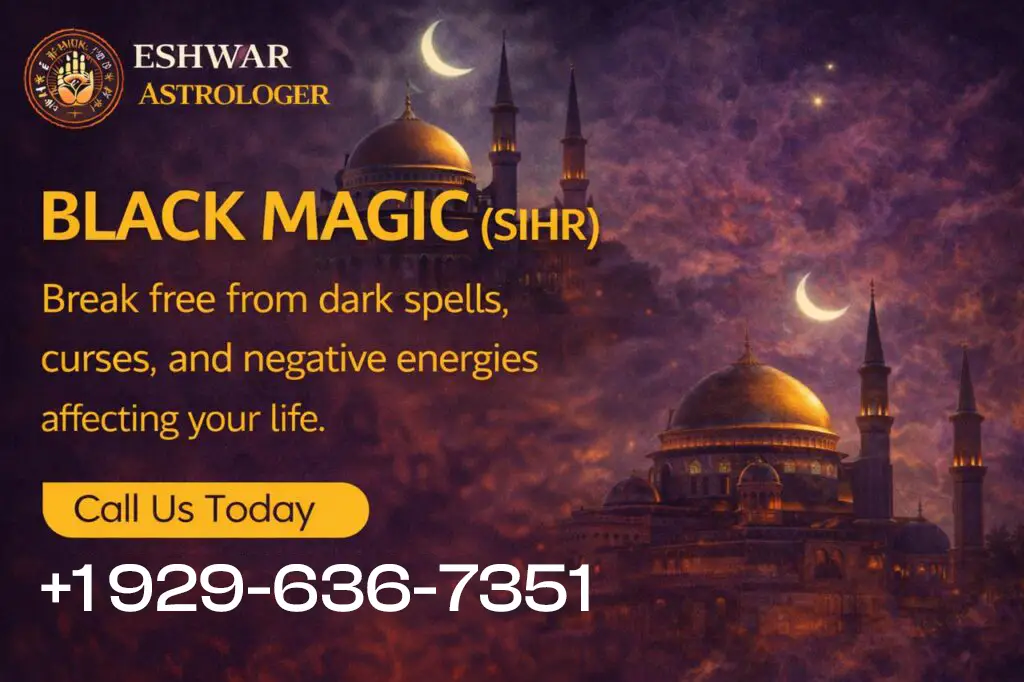 back magic remover in Dallas